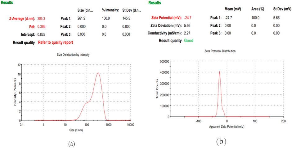 Results data and graphs showcasing nanoparticle analysis. The left graph (a) displays size distribution by intensity with a peak at approximately 262 d.nm. The right graph (b) presents zeta potential distribution with a peak at -24.7 mV. Key results include a Z-Average of 305.3 d.nm, Pdl of 0.386, and zeta potential of -24.7 mV, indicating good result quality.