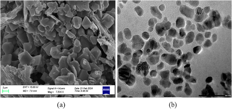 Two micrographs are shown. Image (a) is a scanning electron microscope (SEM) image displaying a cluster of irregularly shaped crystalline particles at a magnification of 7,250 times. Image (b) is a transmission electron microscope (TEM) image showing amorphous, variably sized particles with a darker contrast, suggesting dense regions.