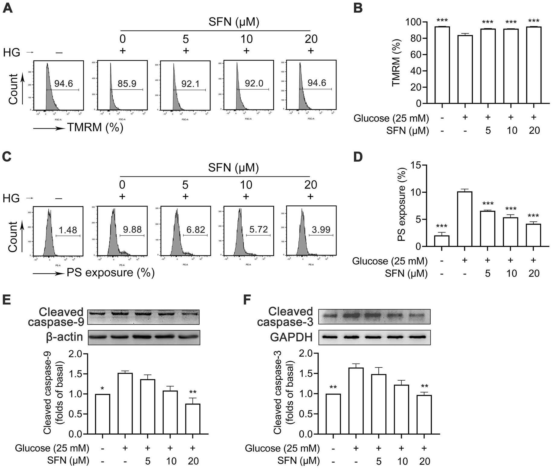 Flow cytometry and Western blot analysis show TMRM and PS exposure under varying sulforaphane (SFN) and glucose levels. Graphs depict TMRM retention and PS exposure percentages with statistical significance noted. Western blots show cleaved caspase-9 and caspase-3 levels, indicating changes in apoptosis relative to SFN concentration.
