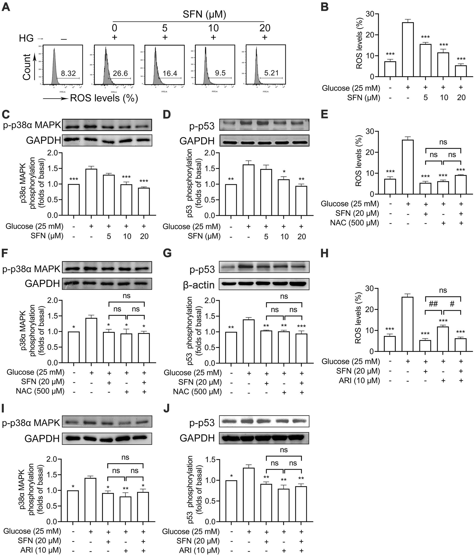 Flow cytometry histograms and bar graphs depict the effects of sulforaphane (SFN) on ROS levels and protein phosphorylation in high glucose conditions. Figures A and B show ROS levels decreasing with increasing SFN concentrations. Figures C, D, F, G, I, and J demonstrate protein phosphorylation changes, specifically p-p38α MAPK and p-p53, under various treatment conditions, including SFN, NAC, and ARI. Statistical significance is indicated, highlighting differences in ROS and protein responses.