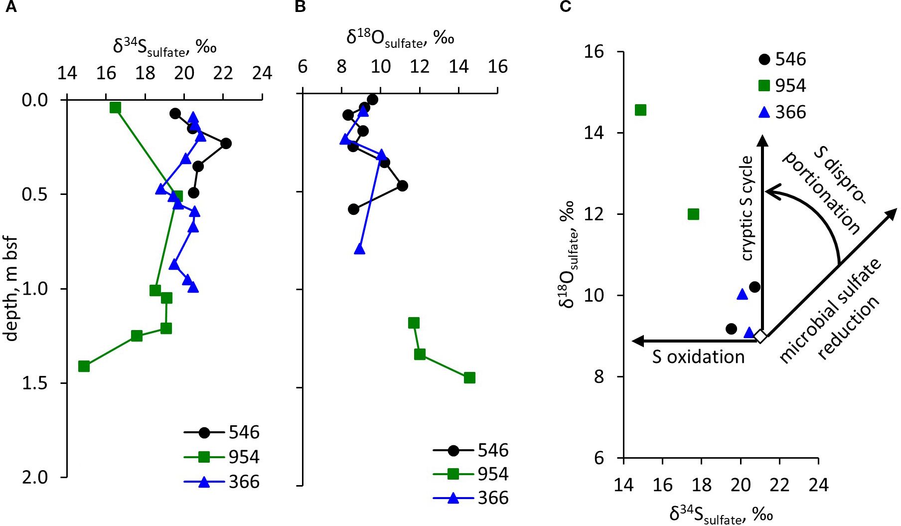 Graphs A and B show variations in sulfate isotopes with depth. Graph A displays δ³⁴Sₛₒₗfₐₜₑ values, while Graph B presents δ¹⁸Oₛₒₗfₐₜₑ values. In both, different markers represent depths 546, 954, and 366 meters below seafloor. Graph C cross-plots δ¹⁸O against δ³⁴S, illustrating mechanisms like sulfur oxidation, microbial reduction, and disproportionation.