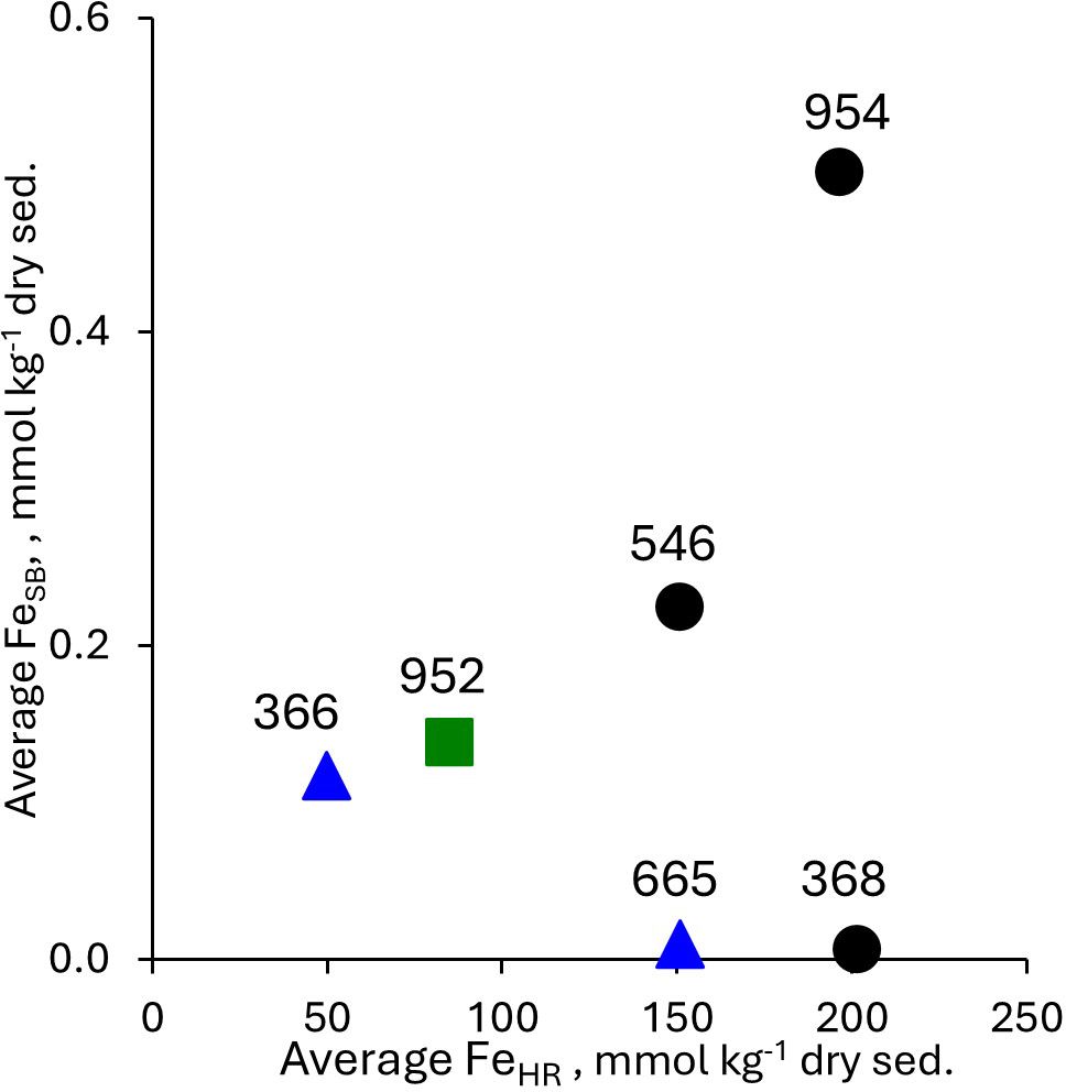 Scatter plot showing the relationship between average Fe_HR and average Fe_SB in millimoles per kilogram of dry sediment. Data points labeled with numbers include various symbols: triangles, circles, and a square, spread across the plot.
