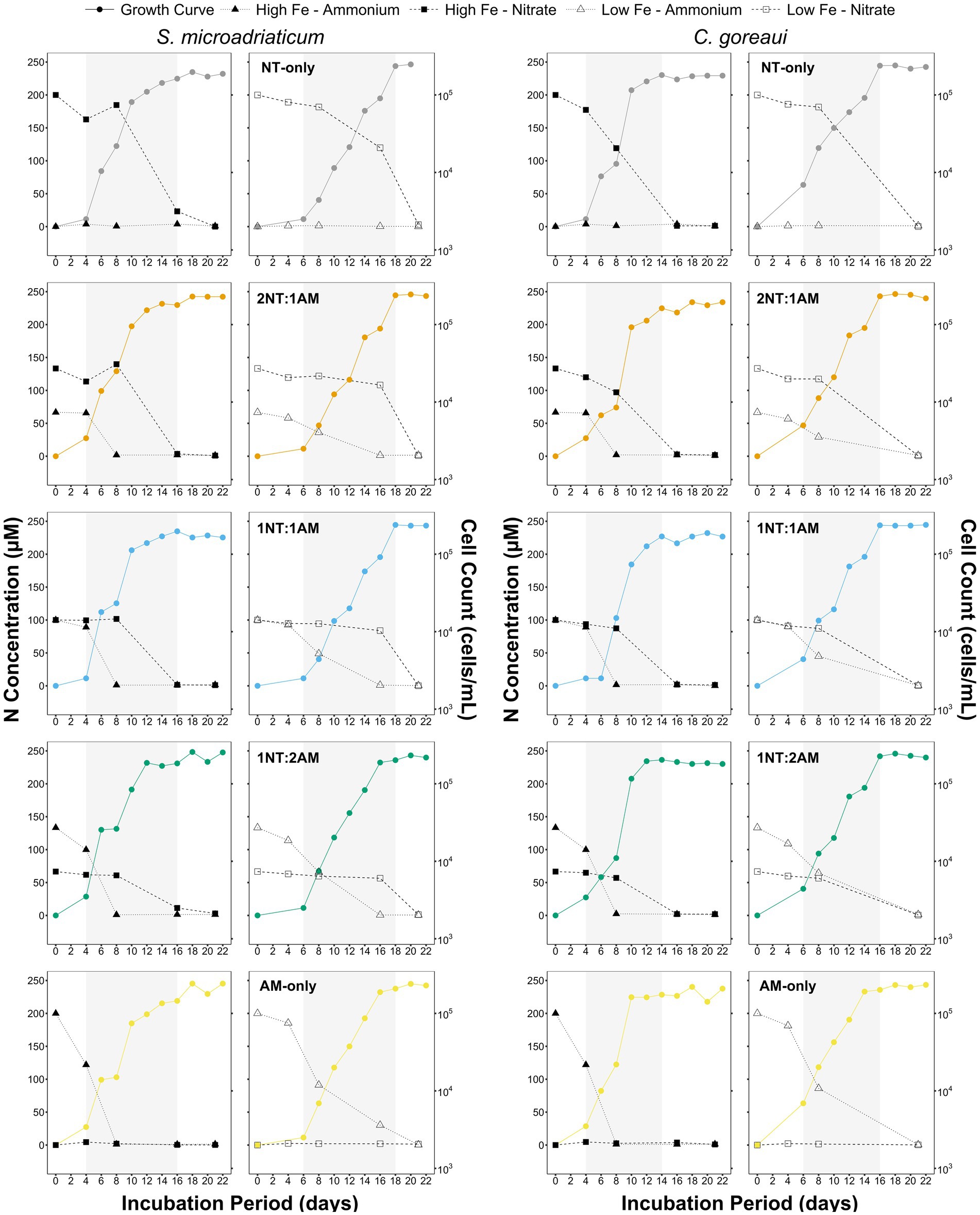Graphs comparing nitrogen concentration and cell count over a 22-day incubation in different nutrient conditions for S. microadriaticum and C. goreaui. Each species has five conditions: NT-only, 2NT:1AM, 1NT:1AM, 1NT:2AM, and AM-only. Lines represent growth curves, high and low iron with ammonium or nitrate.