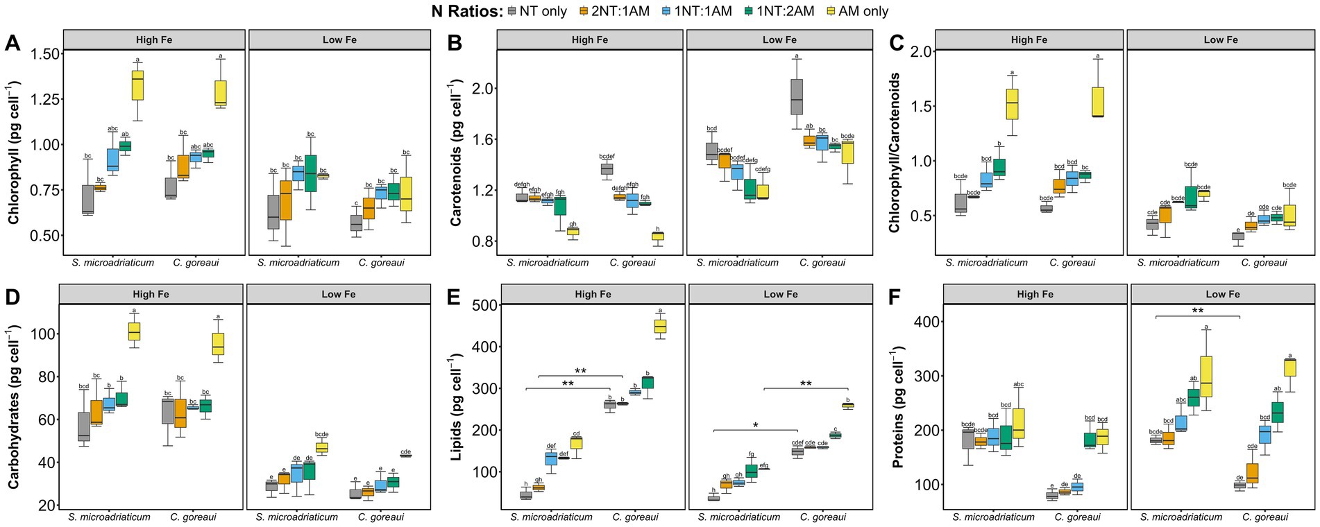 Box plots show the concentrations of chlorophyll (A), carotenoids (B), chlorophyll/carotenoids ratio (C), carbohydrates (D), lipids (E), and proteins (F) in *S. microadriaticum* and *C. goreaui* under high and low iron conditions. The plots differentiate nitrogen ratios using colors: gray for NT only, blue for 2NT:1AM, orange for 1NT:1AM, green for 1NT:2AM, and yellow for AM only. Statistical significance indicators are provided above the plots.