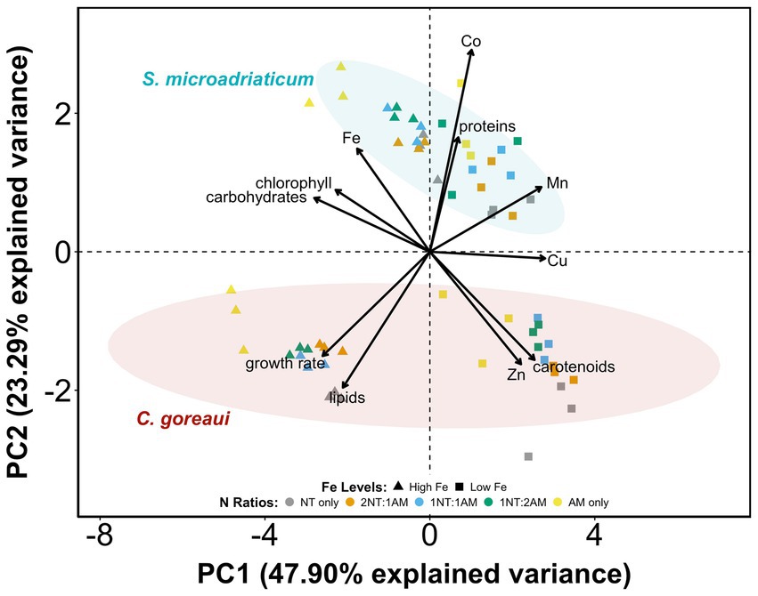 Biplot showing Principal Component Analysis (PCA) of S. microadriaticum and C. goreaui, with PC1 and PC2 axes explaining 47.90% and 23.29% variance, respectively. Arrows indicate contributions of elements like iron, manganese, and zinc, as well as components like proteins, carbohydrates, lipids, and growth rate. Data points are color-coded and shaped by nitrogen and iron levels. Ellipses highlight species clustering.