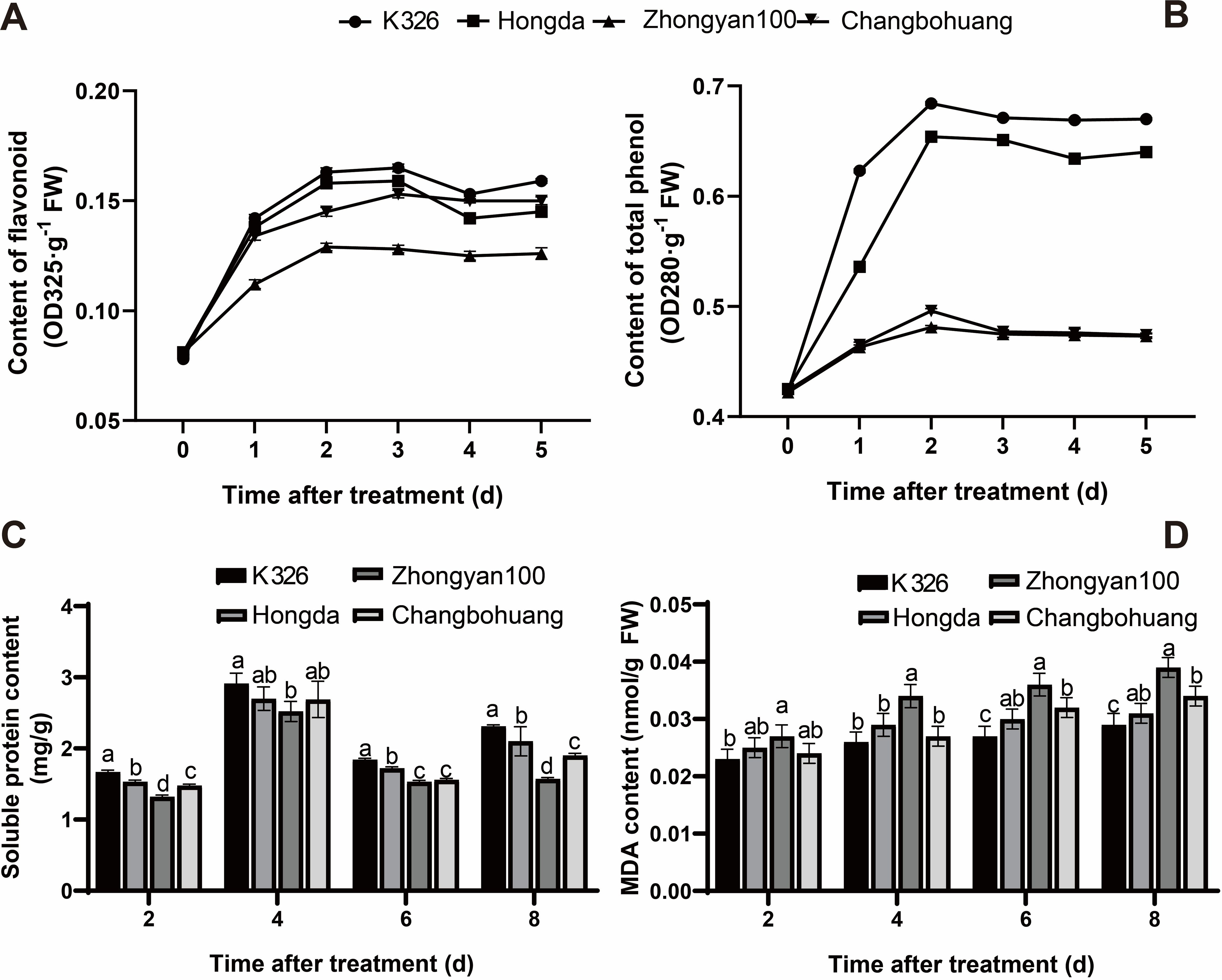 Four graphs displaying effects over time for different variables with four treatments: K326, Hongda, Zhongyan100, and Changbohuang. A: Line graph showing flavonoid content increases over five days, with differences between treatments marked by asterisks indicating significance. B: Line graph depicting total phenol content increasing significantly in treatments over time, also marked with asterisks for statistical significance. C: Bar graph of soluble protein content across different days, showing variation between treatments labeled by letters a to c. D: Bar graph of MDA content over eight days, with treatments showing differences labeled by letters a to d.