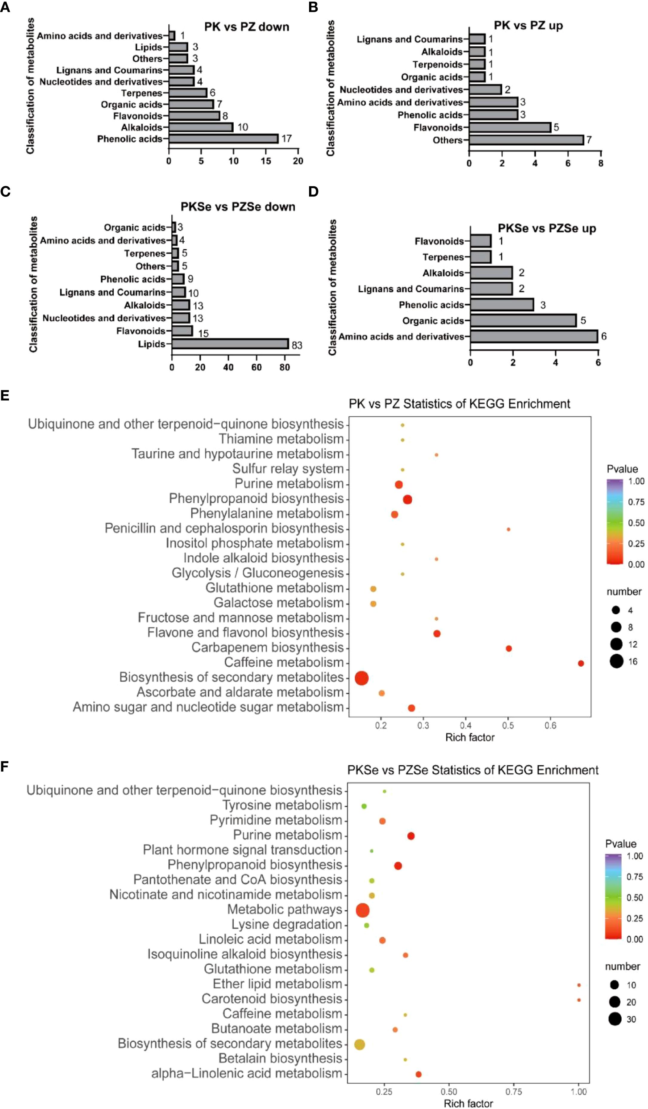 Bar charts and scatter plots comparing metabolite classifications and KEGG enrichment statistics for PK vs. PZ and PKSe vs. PZSe. Bar charts (A-D) show downregulated and upregulated metabolites, with categories such as amino acids, lipids, and phenolic acids. Scatter plots (E-F) display KEGG pathway enrichment, with bubble size indicating number and color showing p-value.