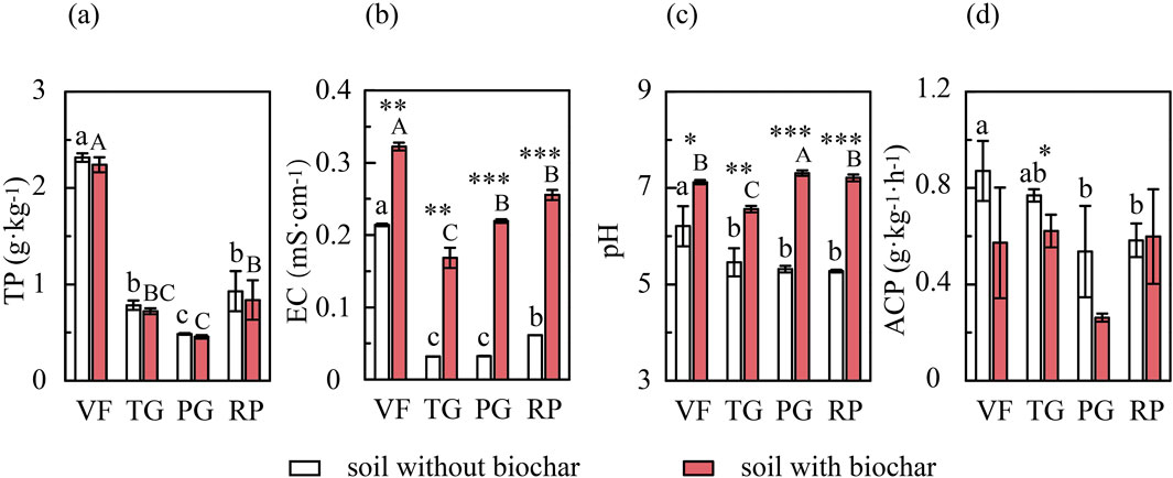 Four bar graphs labeled (a) to (d) compare soil properties with and without biochar across different treatments: VF, TG, PG, and RP. Graph (a) shows TP (total phosphorus) in grams per kilogram, (b) displays EC (electrical conductivity) in millisiemens per centimeter, (c) shows pH levels, and (d) represents ACP (acid phosphatase) in grams per kilogram per hour. The bars are color-coded, with white for soil without biochar and red for soil with biochar. Statistical significance is indicated with asterisks and letters above the bars.