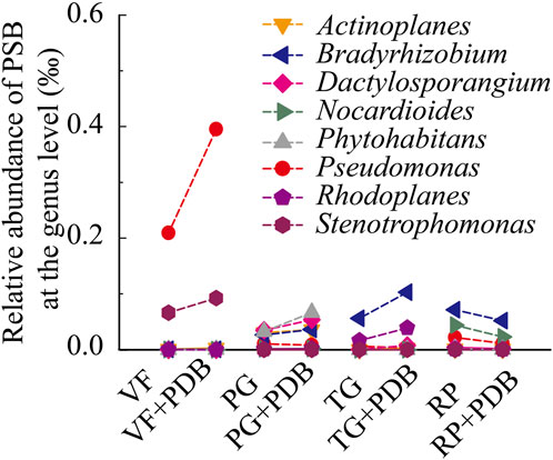 Line chart showing the relative abundance of phosphate-solubilizing bacteria (PSB) at the genus level, with measurements across VF, VF+PDB, PG, PG+PDB, TG, TG+PDB, RP, and RP+PDB conditions. Genus labels on the right include Actinoplanes, Bradyrhizobium, Dactylosporangium, Nocardioides, Phytohabitans, Pseudomonas, Rhodoplanes, and Stenotrophomonas, each represented by differently shaped and colored markers. Vertical axis indicates percentage, ranging from zero to zero point six percent.