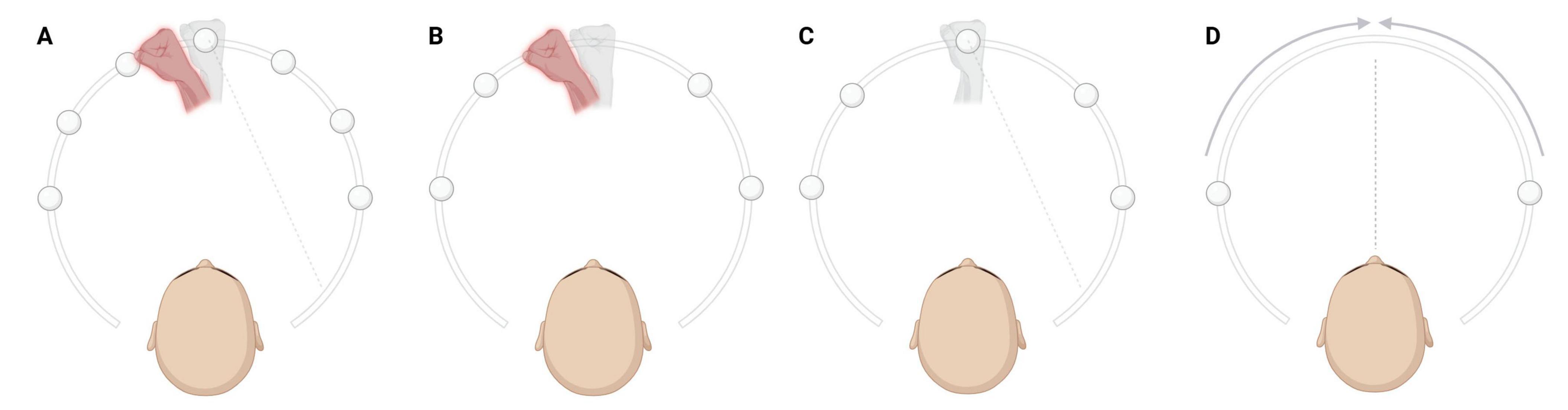 Visual representation of the experimental tasks. Panel A shows the multisensory VPD for the evaluation of explicit and implicit ownership, while panel B-D show the complementary tasks. Participants are immersed in virtual reality and are presented with virtual hands (in red), while the real proprioceptive one (in grey) is hidden from view.