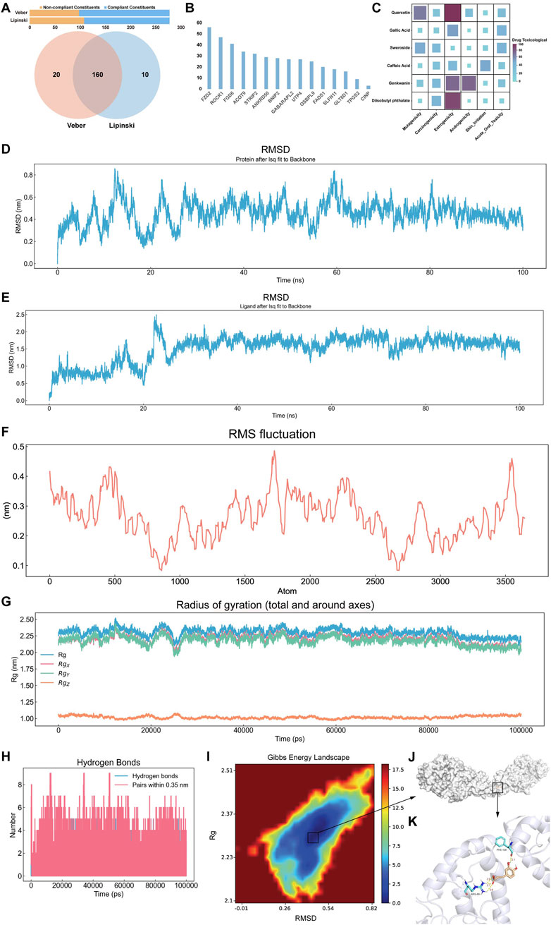 Pharmaceutical component evaluation, virtual screening, and MD. (A) Bar chart of ingredients satisfying Veber’s and Lipinski’s rules, plus a Venn diagram of orally bioavailable ingredients meeting both. (B) Bar chart of virtual screening hits per core target; Y-axis shows compounds with strong binding. (C) Heatmap of toxicological predictions for effective ingredients. (D) RMSD trajectory of the complex. (E) Ligand RMSD within the complex. (F) Complex RMSF. (G) Rg curve of the complex. (H) Hydrogen bond count over time. (I) Free energy landscape. (J) Lowest-energy conformation and (K) its detailed view.