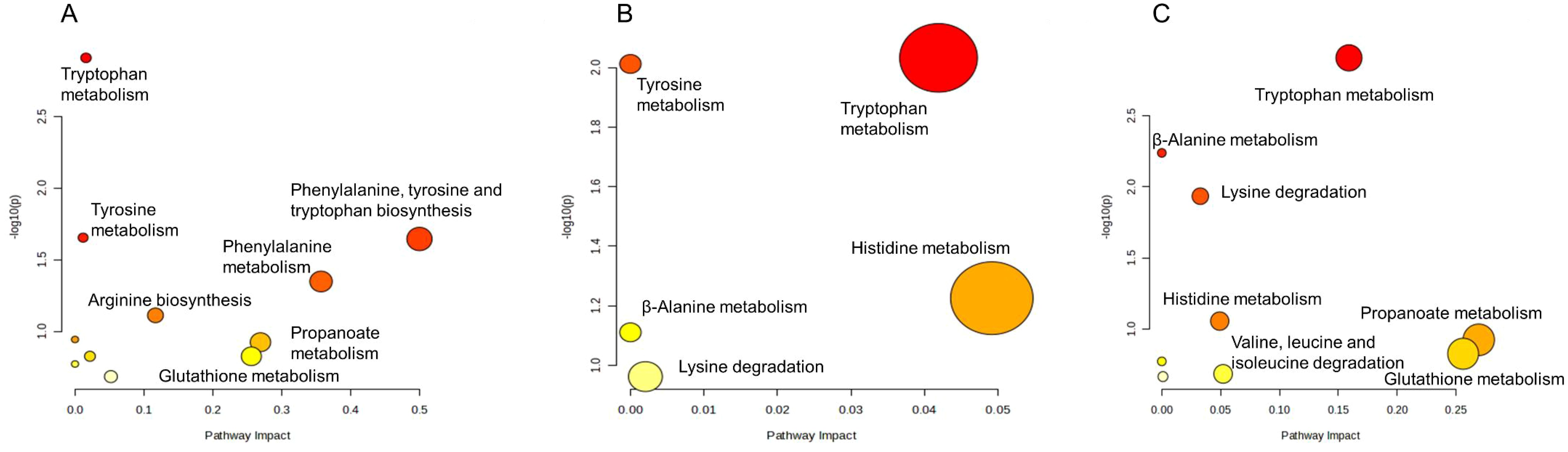 Bubble charts labeled A, B, and C show metabolic pathway impacts. Each chart features circular markers representing different pathways. The x-axis denotes pathway impact, while the y-axis shows the negative logarithm of the p-value. Tryptophan metabolism appears prominently in all charts as large red bubbles, indicating high importance and impact. Other pathways such as tyrosine metabolism, propanoate metabolism, and glutathione metabolism are depicted with varying bubble sizes and colors, denoting different levels of impact and significance across the charts.