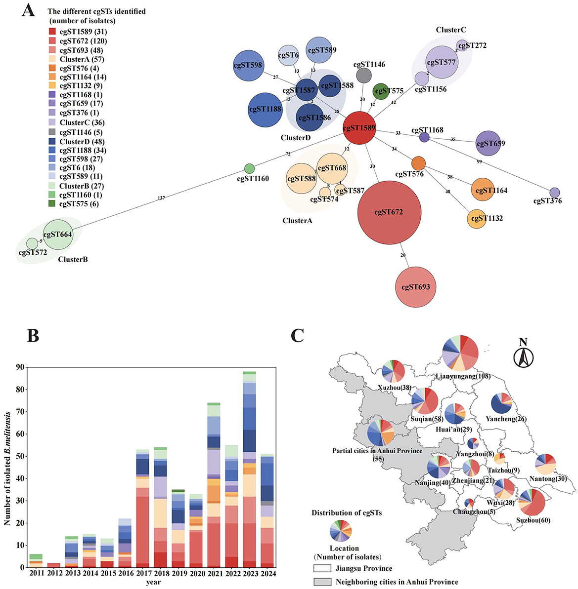 A diagram illustrates brucellosis data across three panels. Panel A displays a cluster network of different cgSTs identified, with various colored circles representing different clusters and cgSTs. Panel B is a stacked barchart showing the number of isolated B. melitensis from 2011 to 2024, with different colors indicating different cgSTs. Panel C features a map of Jiangsu Province and neighboring cities, marked with pie charts to show the distribution of cgSTs by location.