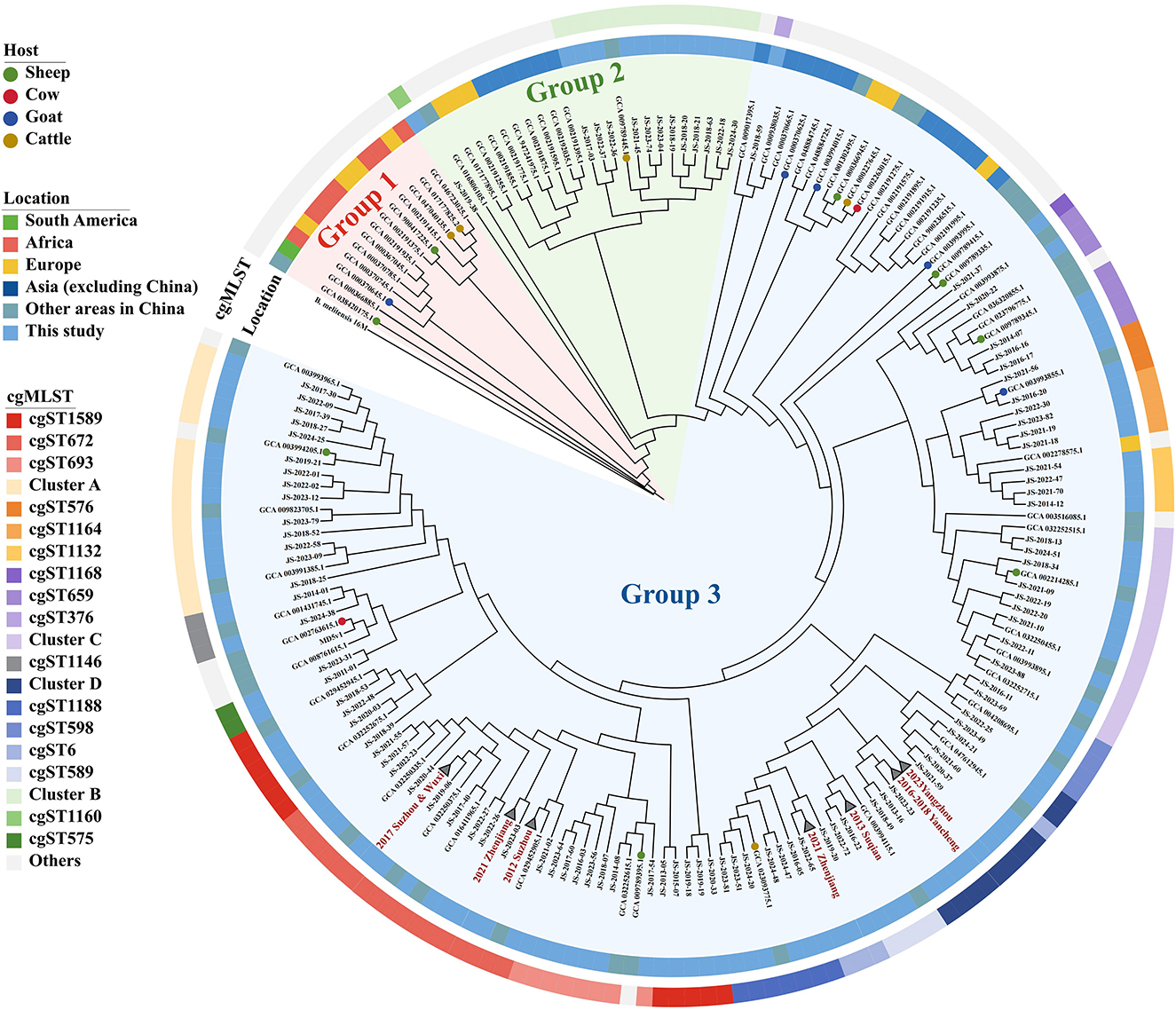 Circular phylogenetic tree diagram with three groups labeled Group 1, Group 2, and Group 3. Hosts include sheep, cow, goat, and cattle marked by colored symbols. Locations indicated by colors: South America, Africa, Europe, Asia (excluding China), and other areas in China. Colored bands represent cgMLST clusters and sequence types.