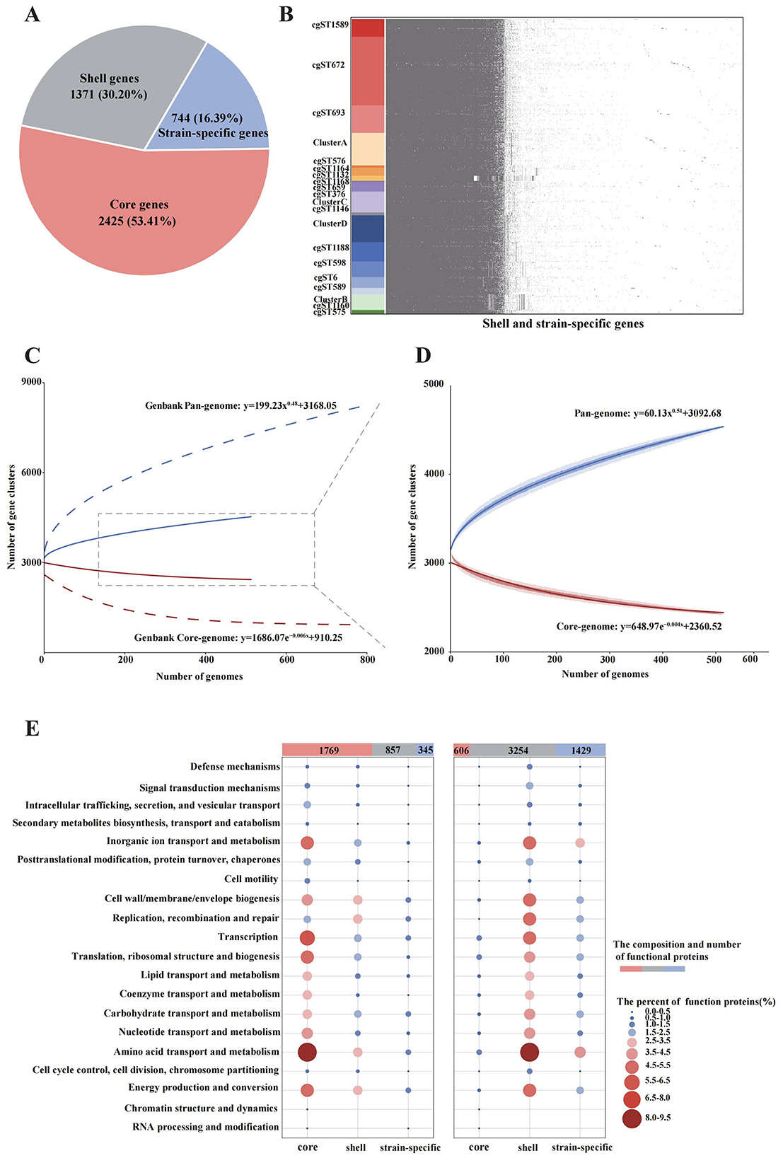 Panel A shows a pie chart illustrating the composition of the pan-genome in 515 isolates, with core genes accounting for 53.41%, shell genes for 30.20%, and strain-specific genes for 16.39%. Panel B presents a heatmap of the gene presence/absence matrix for shell and strain-specific genes across the 515 isolates, highlighting different cgSTs on the left side. Panel C displays the accumulation curves of the pan-genome and core-genome based on both the 515 isolates and 785 GenBank B. melitensis, showing the expansion of gene clusters with increasing genome numbers. Panel D illustrates the pan-genome and core-genome accumulation curves derived exclusively from the 515 B. melitensis isolates included in this study. Panel E shows bubble charts of COG functional categories for core, shell, and strain-specific gene families, with bubble size indicating the percentage of functional proteins.