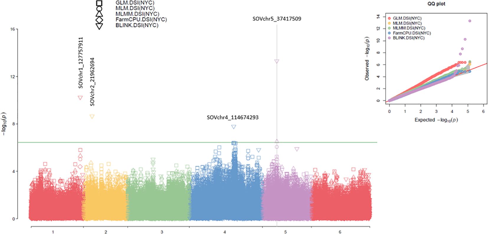 Manhattan plot showing genetic loci with significant associations across chromosomes, indicated by different colors and shapes. Peaks above the green line indicate significance. Inset QQ plot compares observed versus expected -log10(p) values, showing deviations from expected under the null hypothesis.