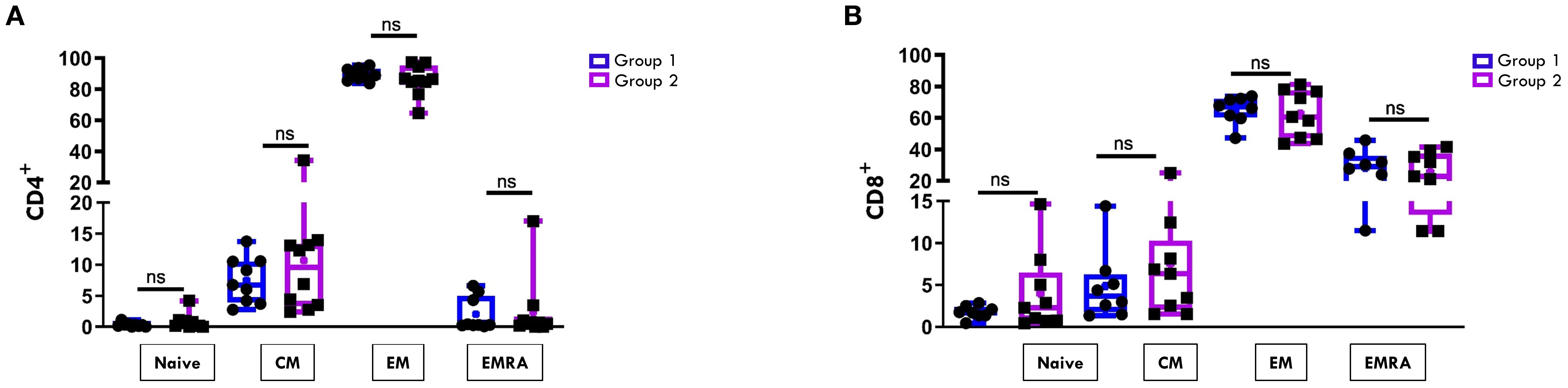 Bar graphs showing CD4+ (A) and CD8+ (B) cell percentages across four maturation subtypes: Naive, CM, EM, and EMRA. Group 1 is in blue and Group 2 is in purple. No significant differences (ns) are indicated above the bars. CD4+ graph displays higher values in EM subtype and CD8+ shows higher values in EM and EMRA subsets in both groups of patients.