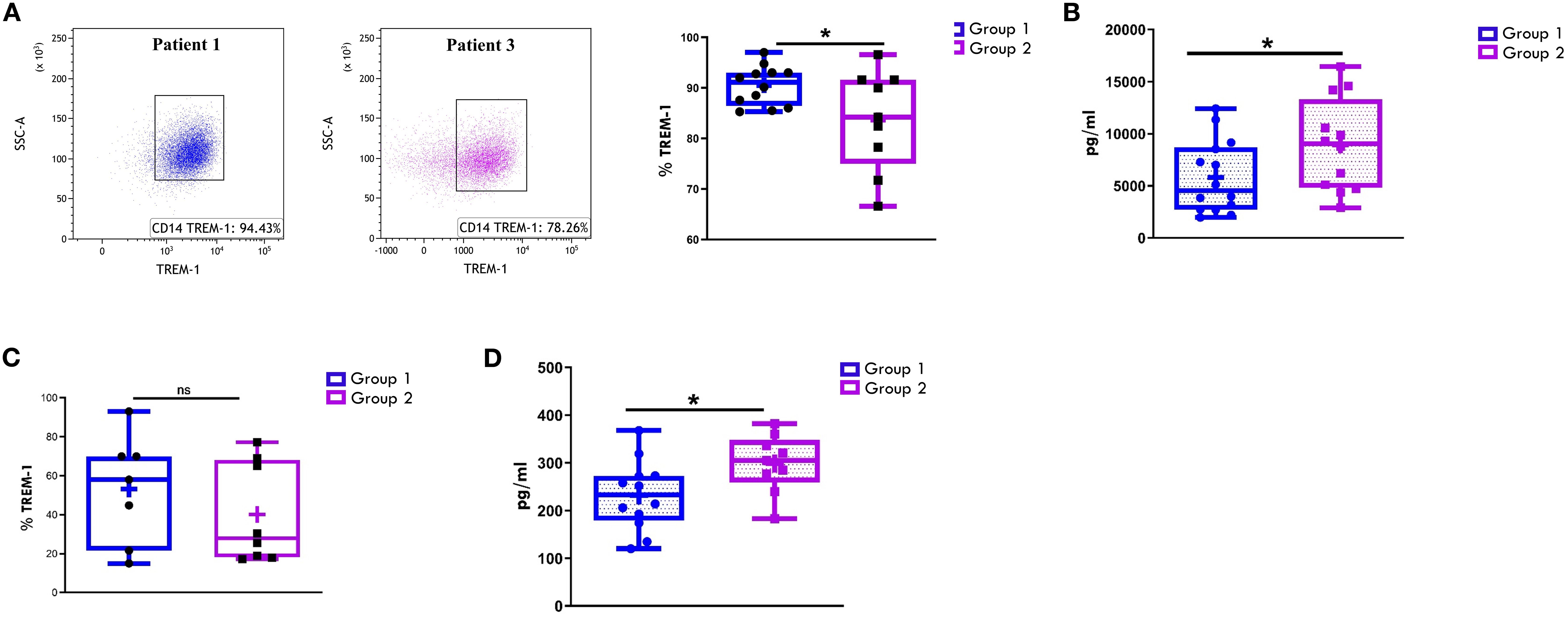 Panel A shows scatter flow cytometry plots for TREM-1 expression on CD14+ cells from SFMCs in representative Patient 1 and Patient 3, with 94.43% and 78.26% positive cells respectively. Box plots compares TREM-1+ cell percentages between Group 1 and Group 2, indicating a significant difference. Panel B displays a box plot of sTREM1 (pg/ml) secretion measurements by ELLA for both groups, also showing a significant difference between groups. Panel C features box plots of % TREM-1 positive PBMCs, showing lack of significance (ns) between the two groups. Panel D presents a box plot of sTREM1 (pg/ml).values showing a significant difference between the groups. Blue represents Group 1, and purple represents Group 2.