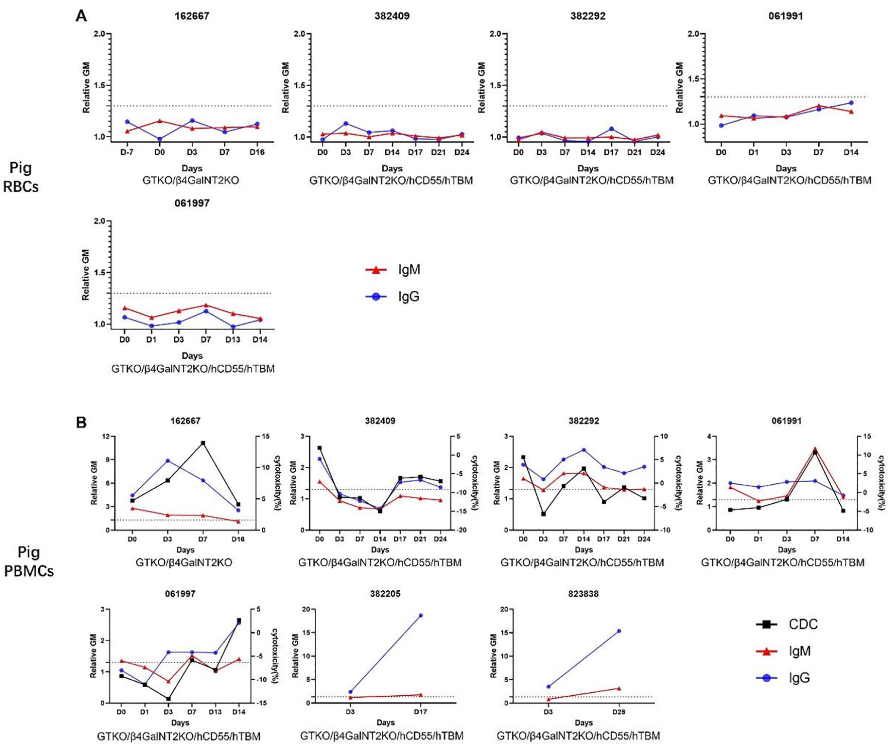 Charts A and B display IgM and IgG antibody responses and complement-dependent cytotoxicity (CDC) in pigs over time using genetically modified red blood cells and peripheral blood mononuclear cells. Chart A shows responses for different genetic modifications across several days. Chart B illustrates similar responses, highlighting variations among different genetic profiles. Both sets of graphs indicate trends for IgM, IgG, and CDC, denoted by red, blue, and black lines respectively, against a temporal framework.