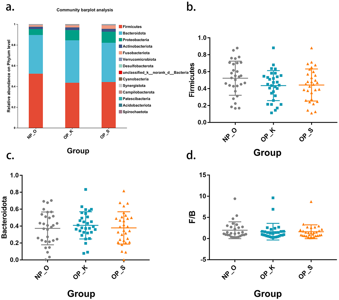 Barplot and scatter plots examining microbial community analysis: Image (a) shows a barplot of relative abundance of various bacterial phyla across three groups (NP_O, OP_K, OP_S), with a legend detailing different phyla. Scatter plots (b) to (d) show data points with error bars for Firmicutes, Bacteroidota, and F/B ratio, respectively, across the same groups, with distinct colors representing each group.