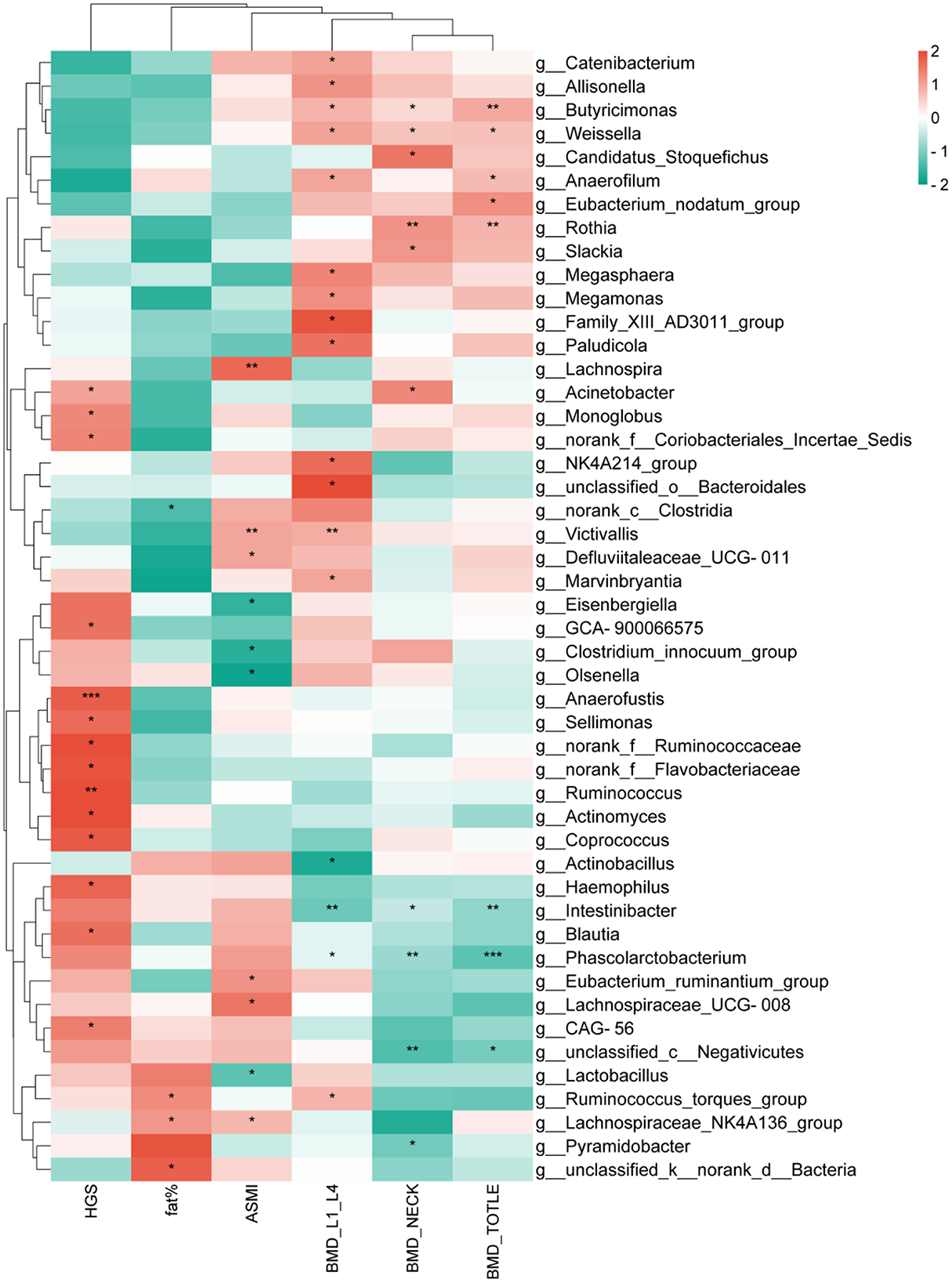 Heatmap showing the abundance of various genera across different conditions. The color gradient ranges from red to green, indicating levels from high to low abundance. Rows represent specific genera, while columns show different experimental conditions or samples. Asterisks indicate statistically significant differences.