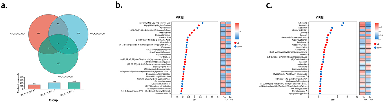 A three-part image: a) A Venn diagram shows the overlap between three categories: OP S vs. OP K, OP K vs. NP O, and OP S vs. NP O, with respective unique and shared numbers. Below is a bar chart illustrating the number of compounds in each comparison. b) A VIP plot displays various compounds with blue and red dots indicating upregulation and downregulation, respectively, alongside a color scale. c) Another VIP plot similar to b), listing different compounds and their regulation status.