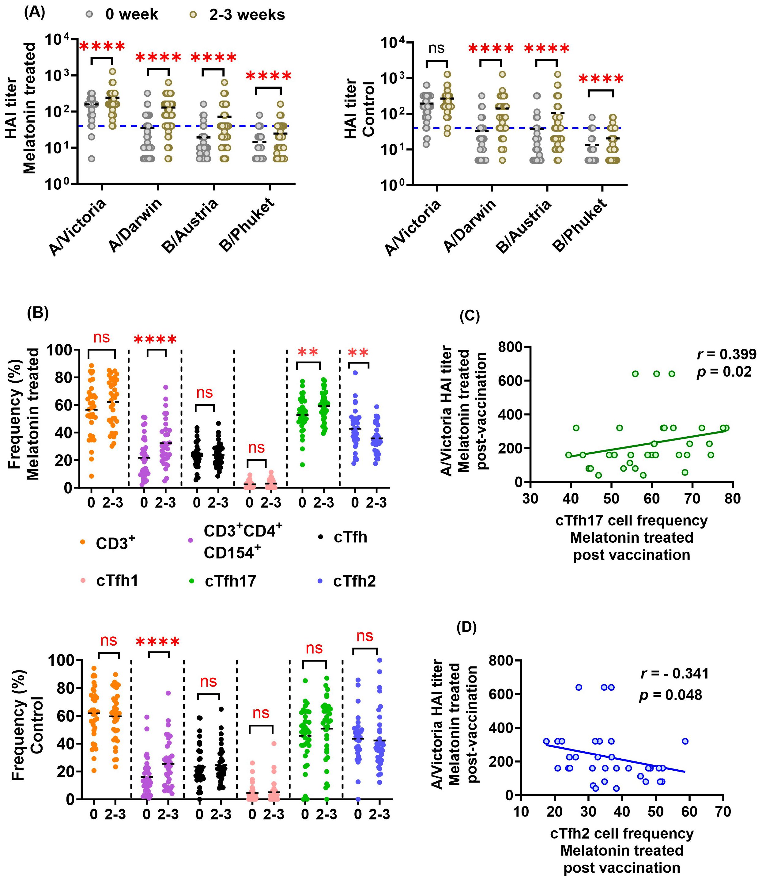 (A) HAI antibody titers against each IIV4 vaccine strain before (0) and 2-3 weeks (2-3) post-vaccination in melatonin recipients (n=53) and control vaccinees (n=55). The 1:40 HAI titer cut-off is shown. (B) Frequency of HA antigen-specific T cell subsets in melatonin recipients (n=34) and control vaccinees (n=36) before (0) and 2-3 weeks (2-3) after IIV4. Dashed line represents cohort mean. Asterisks denote significant differences (**p<0.01, ****p<0.0001). Spearman correlation between A/Victoria HAI titers and (C) cTfh17 frequency (D) cTfh2 frequency in melatonin recipients 2-3 weeks post-vaccination.