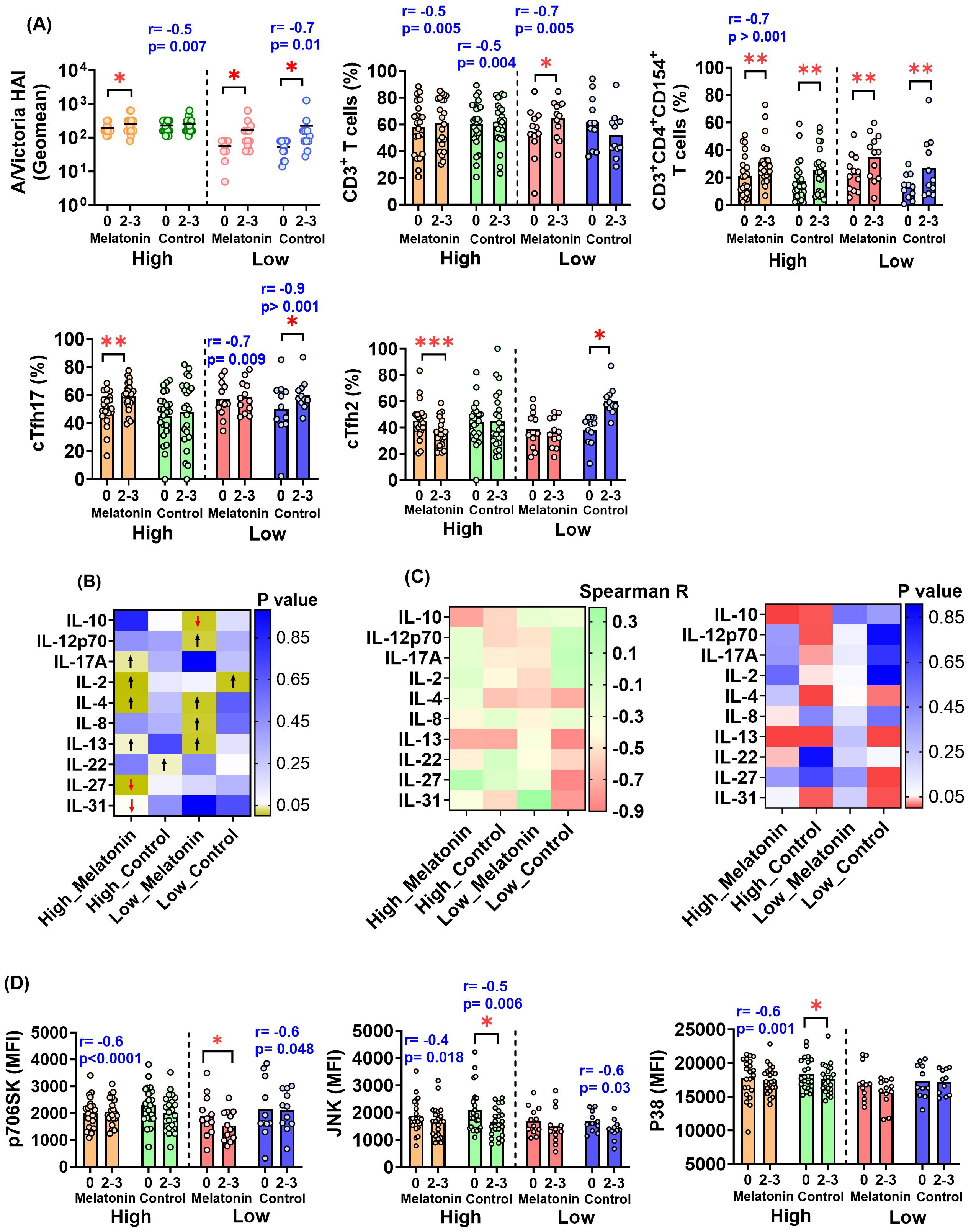 (A) A/Victoria-specific HAI titers and HA-specific T cell responses in melatonin recipients and controls, stratified by baseline HAI (high/low), pre- (0) and post-vaccination (2-3). (B) Heatmap of p-values showing pre- vs. post-vaccination differences in HA-specific cytokine responses in high/low HAI groups. Arrows indicate significant increases (black) or decreases (red). (C) Heatmaps showing Spearman R (left) and p-values (right) for correlations between pre-existing titers and post-vaccination fold-change in cytokines. (D) HA-specific cell signaling factors in high/low HAI groups pre- and post-vaccination. *p<0.05, **p<0.01, ***p<0.001.