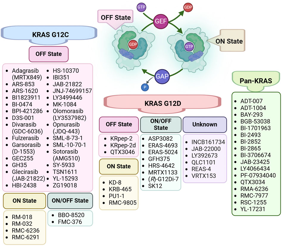 Diagram illustrating inhibitors targeting KRAS G12C and KRAS G12D mutations, categorized by activation state (OFF, ON, ON/OFF, Unknown) and Pan-KRAS activity. G12C and G12D inhibitors are organized by their binding preference to inactive (GDP-bound), active (GTP-bound), or intermediate KRAS conformations. GEF- and GAP-mediated regulation of GDP–GTP cycling is also illustrated.