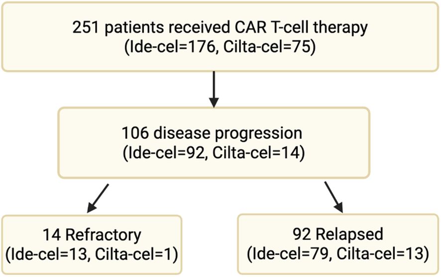 Flowchart depicting outcomes of CAR T-cell therapy in 251 patients. Top box shows 251 patients received treatment (Ide-cel=176, Cilta-cel=75). Next, 106 experienced disease progression (Ide-cel=92, Cilta-cel=14). Bottom left box shows 14 refractory cases (Ide-cel=13, Cilta-cel=1), while the bottom right box shows 92 relapsed cases (Ide-cel=79, Cilta-cel=13).