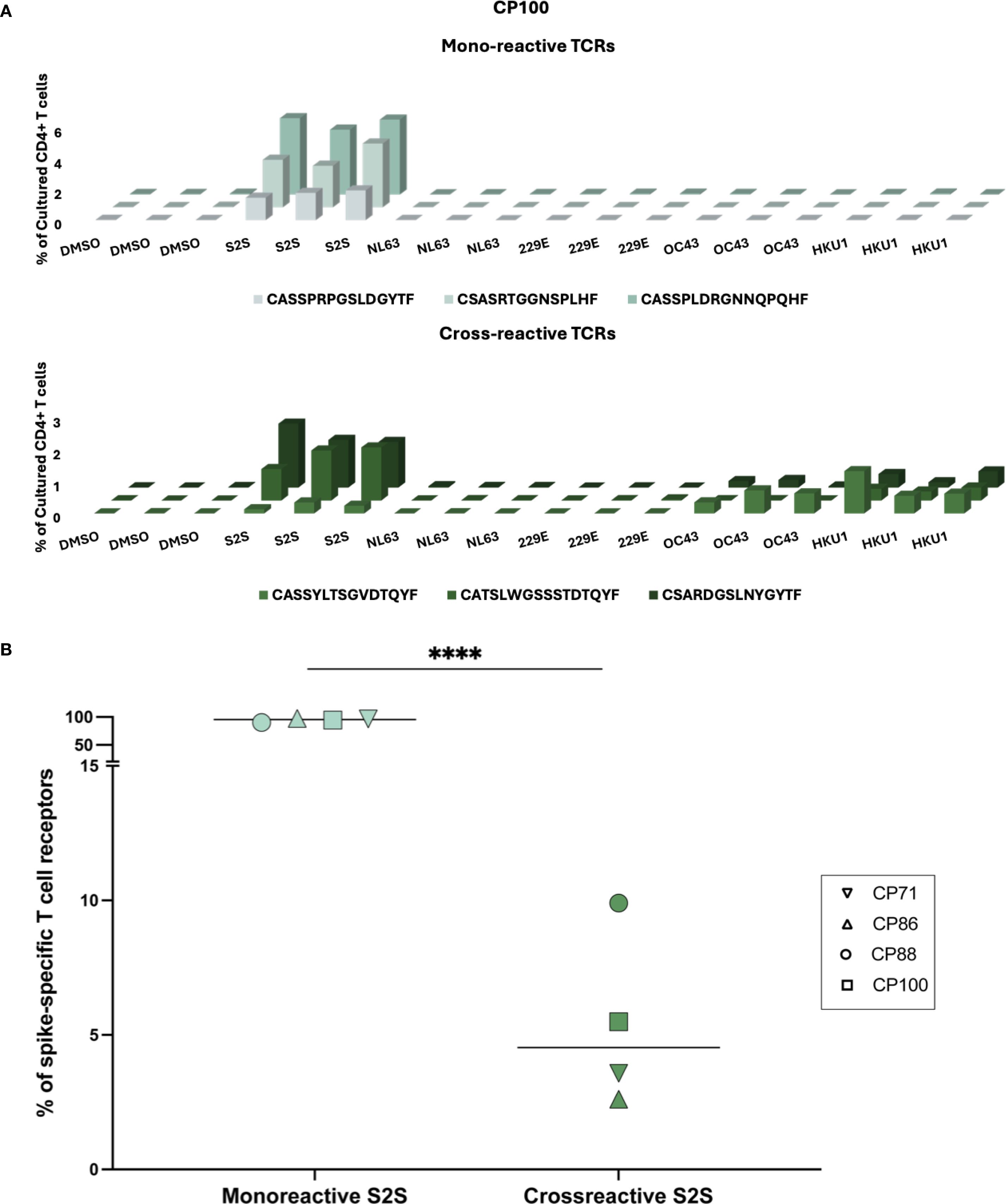 Bar and scatter plots of T cell receptor data. Panel A shows three bar groups for mono-reactive TCRs and cross-reactive TCRs across various labels like DMSO, S2S, NL63, and HKU1. Each group is labeled with specific amino acid sequences. Panel B displays a scatter plot comparing percentages of spike-specific T cell receptors between monoreactive and cross-reactive S2S, marked with different symbols for CP71, CP86, CP88, and CP100. A significant difference is indicated with four asterisks.