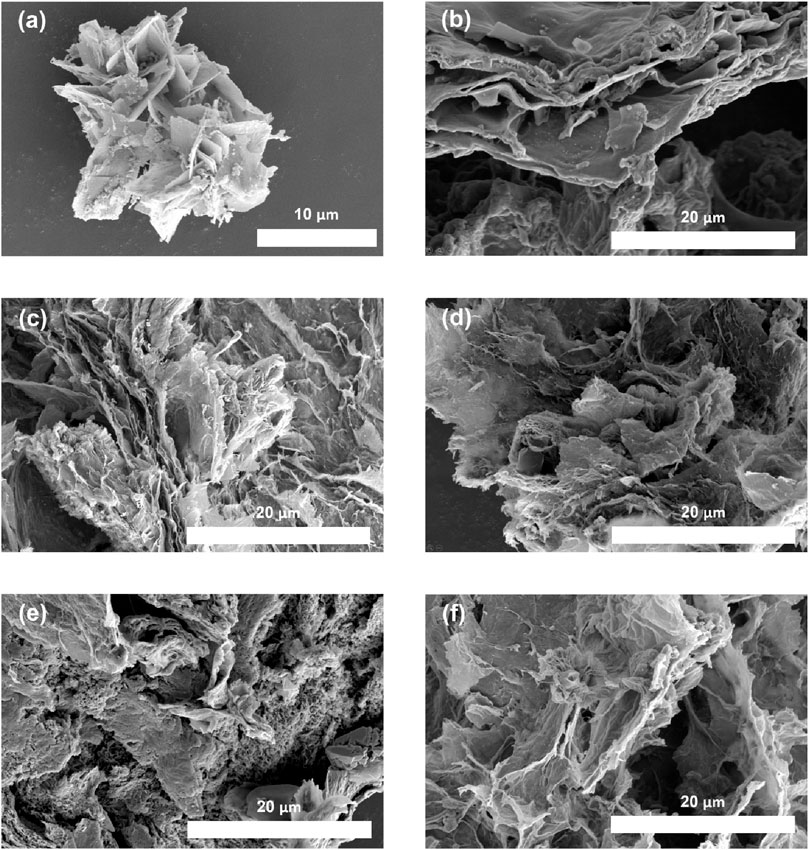 Scanning electron microscope images showing different microstructures. (a) Displays a clustered particulate formation with sharp edges, scale bar 10 micrometers. (b) to (f) show various layered and fibrous structures with rough textures, each with a scale bar of 20 micrometers.