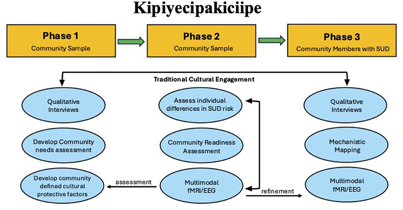 Flowchart titled “Kipiyecipakicipe” illustrating three phases of community engagement with an emphasis on traditional cultural aspects. Phase 1 involves qualitative interviews, community needs assessment, and defining cultural protective factors. Phase 2 assesses individual differences in substance use disorder risk and community readiness, utilizing multimodal fMRI/EEG assessment. Phase 3 involves interviews with community members with substance use disorders, mechanistic mapping, and fMRI/EEG refinement. Each phase is interconnected, highlighting a continuous process of assessment and refinement.