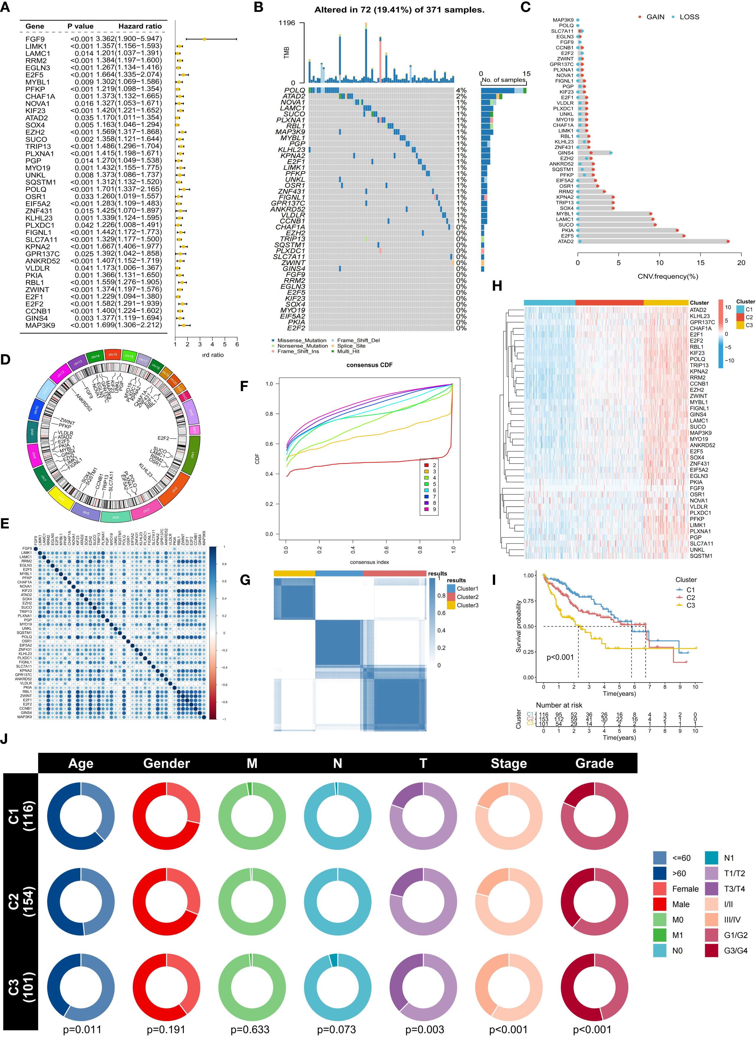 A composite image showing various data visualizations related to genetic analysis and patient data. Panel A lists genes with associated hazard ratios and p-values. Panel B displays a mutation spectrum across 371 samples, indicating alterations in genes. Panel C shows copy number variations, highlighting gains and losses. Panel D is a circular plot of genomic data. Panel E contains a correlation matrix of gene interactions. Panel F presents a consensus cumulative distribution function graph. Panel G visualizes clustering results with heatmaps. Panel H is a heatmap of gene expression across clusters. Panel I features survival curves for different clusters. Panel J displays donut charts of demographics and clinical features by cluster.