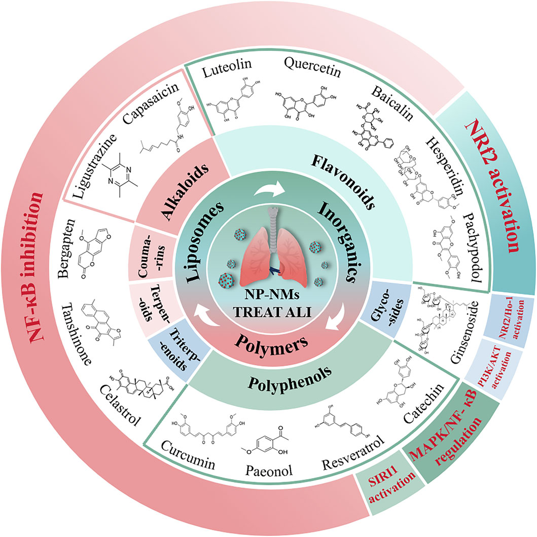 Circular infographic illustrating the role of NP-NMs in treating ALI. The central image shows lungs surrounded by liposomes, polymers, inorganics, and various compound categories: alkaloids, flavonoids, glycosides, polyphenols. Each compound, like luteolin, quercetin, and curcumin, is linked to mechanisms such as NF-kB inhibition and Nrf2 activation, with chemical structures depicted.