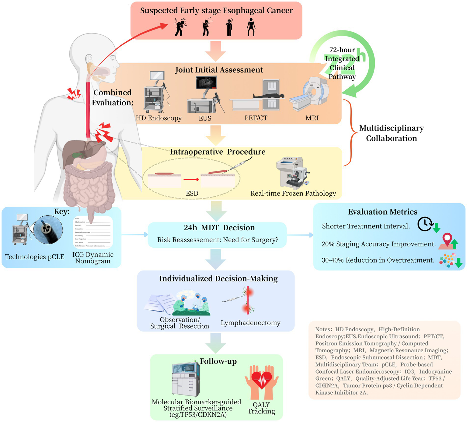 Flowchart illustrating the integrated clinical pathway for suspected early-stage esophageal cancer. It involves combined evaluation using HD endoscopy, EUS, PET/CT, MRI, and 72-hour collaboration. Intraoperative procedures include ESD and real-time pathology. Decisions are reassessed in 24-hour MDT, leading to individualized treatment options like surgery or lymphadenectomy. Follow-up includes molecular biomarker surveillance. Evaluation metrics show improvements in treatment intervals and staging accuracy. Key technologies and notes are provided.
