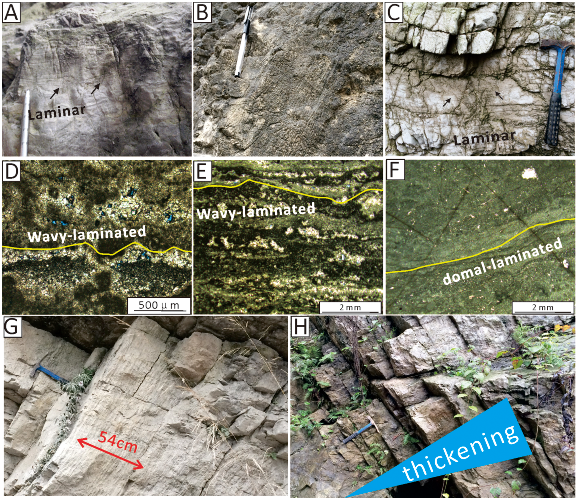 Panel A shows laminar rock layers with a pen for scale. Panel B depicts a rock surface with a measuring tool. Panel C highlights laminar structures with a hammer for scale. Panel D and E show wavy-laminated textures under a microscope. Panel F reveals domal-laminated structures. Panel G displays a rock layer with a red arrow indicating 54 centimeters. Panel H illustrates rock thickness with a blue marker and vegetation.