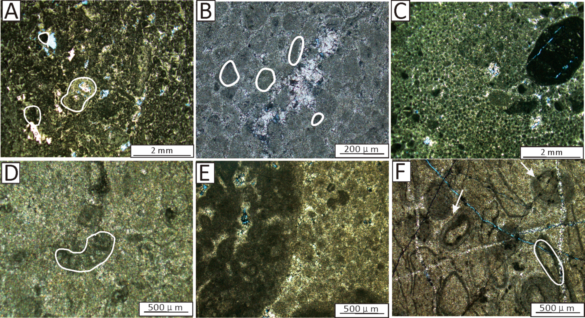 Six microscopic images labeled A to F, showing different rock textures and features. A and C display coarse granular textures at a 2 millimeter scale. B, D, E, and F show finer details at 200 micrometers to 500 micrometers. White outlines and arrows in some images highlight specific mineral structures or textures.