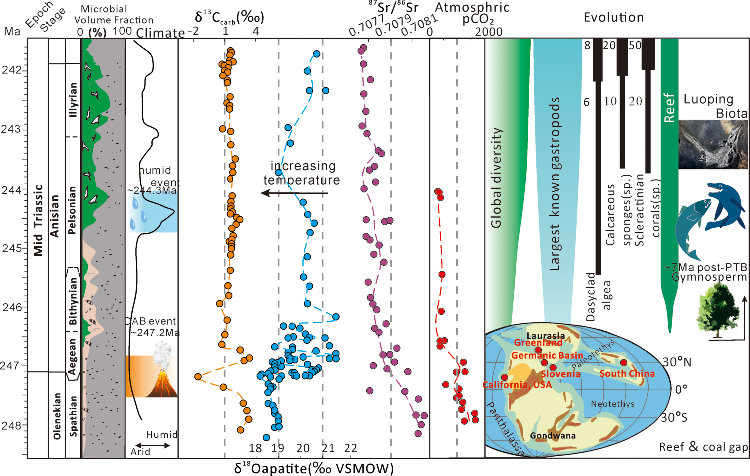 Graph showing geological and climate data from the Mid Triassic period. It includes epoch stages, climate changes, carbon and oxygen isotope ratios, temperature trends, atmospheric carbon dioxide levels, and global biodiversity. A map displays ancient continental positions, and icons illustrate biotic elements like gastropods and reef evolution. The graph traces climate events such as humid periods and volcanic activity impacts.