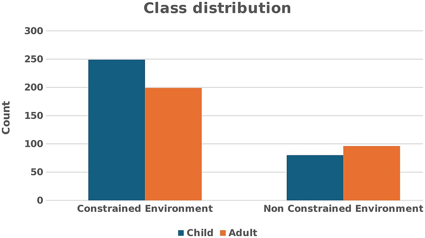 Bar chart titled “Class distribution” showing counts of children and adults in constrained and non-constrained environments. Constrained environment: 249 children, 199 adults. Non-constrained environment: around 80 children, 96 adults. Blue bars represent children, orange bars represent adults.