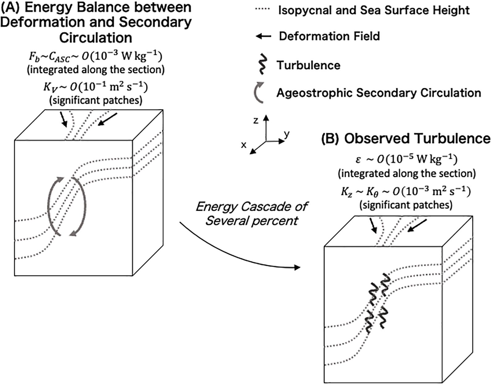 Diagram illustrating energy balance and turbulence in ocean circulation. Panel A shows deformation and secondary circulation, featuring isopycnals, deformation fields, turbulence, and ageostrophic secondary circulation. Panel B shows observed turbulence with similar components. Arrows indicate energy cascade. Key symbols and equations are included for each panel.