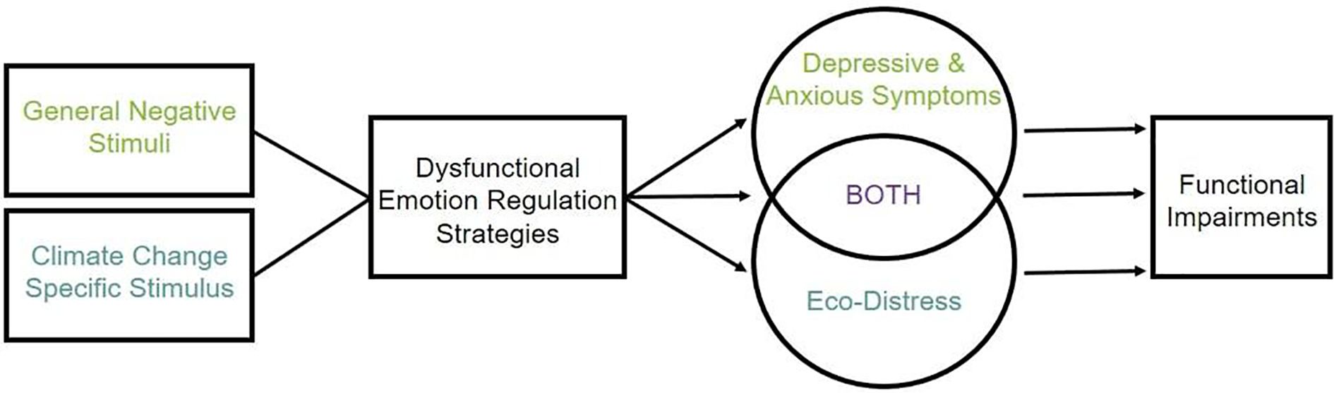 Flowchart showing the relationship between general negative stimuli and climate change specific stimulus leading to dysfunctional emotion regulation strategies. This results in depressive and anxious symptoms, eco-distress, or both, culminating in functional impairments.
