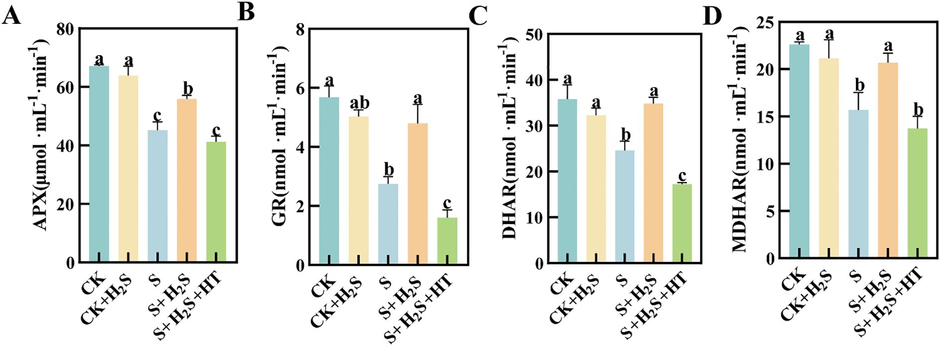 Bar graphs labeled A to D compare enzyme activity under various conditions: CK, CK with hydrogen sulfide, S, S with hydrogen sulfide, and S with hydrogen sulfide plus HT. Graph A shows APX activity, B shows GR activity, C shows DHAR activity, and D shows MDHAR activity. Different letters above bars indicate statistically significant differences.