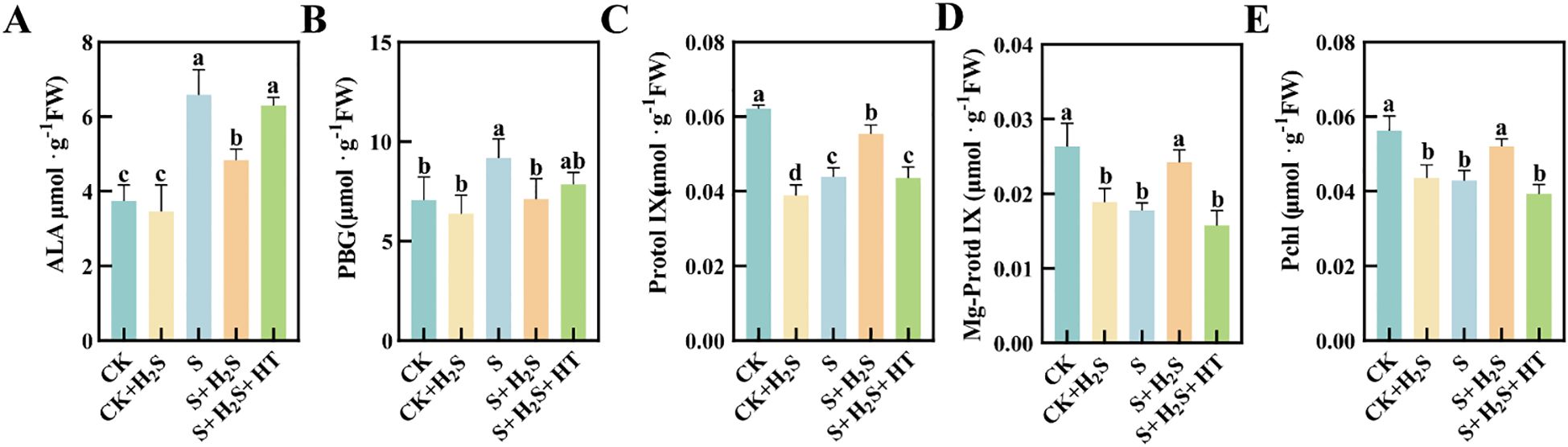 Bar graphs labeled A to E display various compounds measured in micromoles per gram fresh weight under five different conditions: CK, CK plus H2S, S, S plus H2S, and S plus H2S plus HT. Each graph shows different values with significance levels marked by letters a, b, c, and d. A (ALA), B (PBG), C (Protol IX), D (Mg-Protd IX), and E (PchI) indicate distinct compounds, each showing varied responses across conditions. Error bars represent data variability.