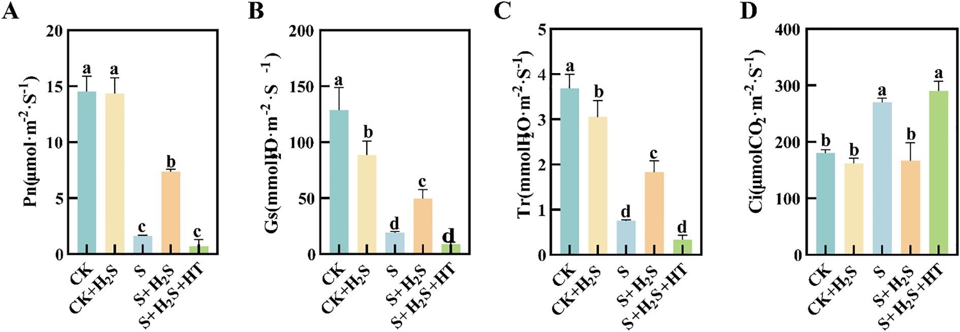 Four bar graphs labeled A to D compare different treatments. Graph A shows photosynthetic rate (Pn) with highest values for CK and CK+H₂S treatments. Graph B shows stomatal conductance (Gs) highest in CK. Graph C displays transpiration rate (Tr) peaking in CK. Graph D represents intercellular CO₂ concentration (Ci) highest in S+H₂S+HT. Letters above bars indicate statistical differences.