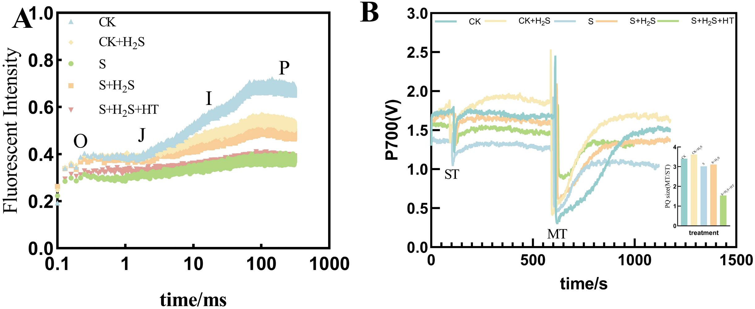 Graph A shows changes in fluorescent intensity over time (in milliseconds) for different treatments, with labels O, J, I, and P marking key points. Graph B displays P700 values over time (in seconds), also for different treatments including CK and others. A small inset bar graph indicates PQ size variations among treatments.