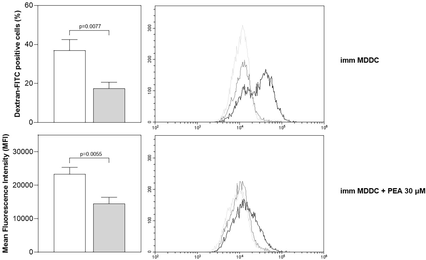 Bar graphs (left side) and histograms (right side) display the endocytic activity of immature MDDCs as FITC–Dextran specific uptake. Bar graphs display the percentage of positive cells (upper) and mean fluorescence intensity (lower) in untreated (empty bars) and PEA treated (grey bars) conditions, reported as mean and errors, with significant differences indicated. Histograms show FITC–Dextran uptake in untreated (upper) and PEA-treated (lower) cells, comparing uptake at 37 °C (bold line) and 4 °C (dark grey line) versus non-specific autofluorescence (light grey line).
