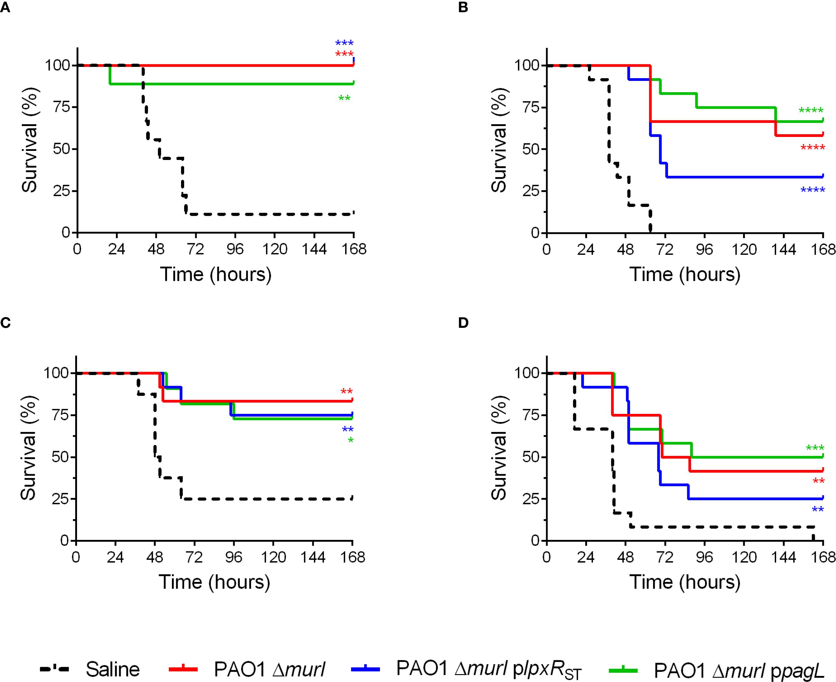 Four Kaplan-Meier survival curves show the percentage survival over time in hours, comparing different groups: saline (dashed line), PAO1 ?murl (red), PAO1 ?murl plpxRST (blue), and PAO1 ?murl ppagL (green). Graphs A and C show high survival rates for all three strains compared to saline. Graphs B and D indicate lower survival for ?murl plpxRST compared to ?murl and ?murl ppagL. Significance levels relative to saline are indicated by asterisks, with more indicating higher significance.