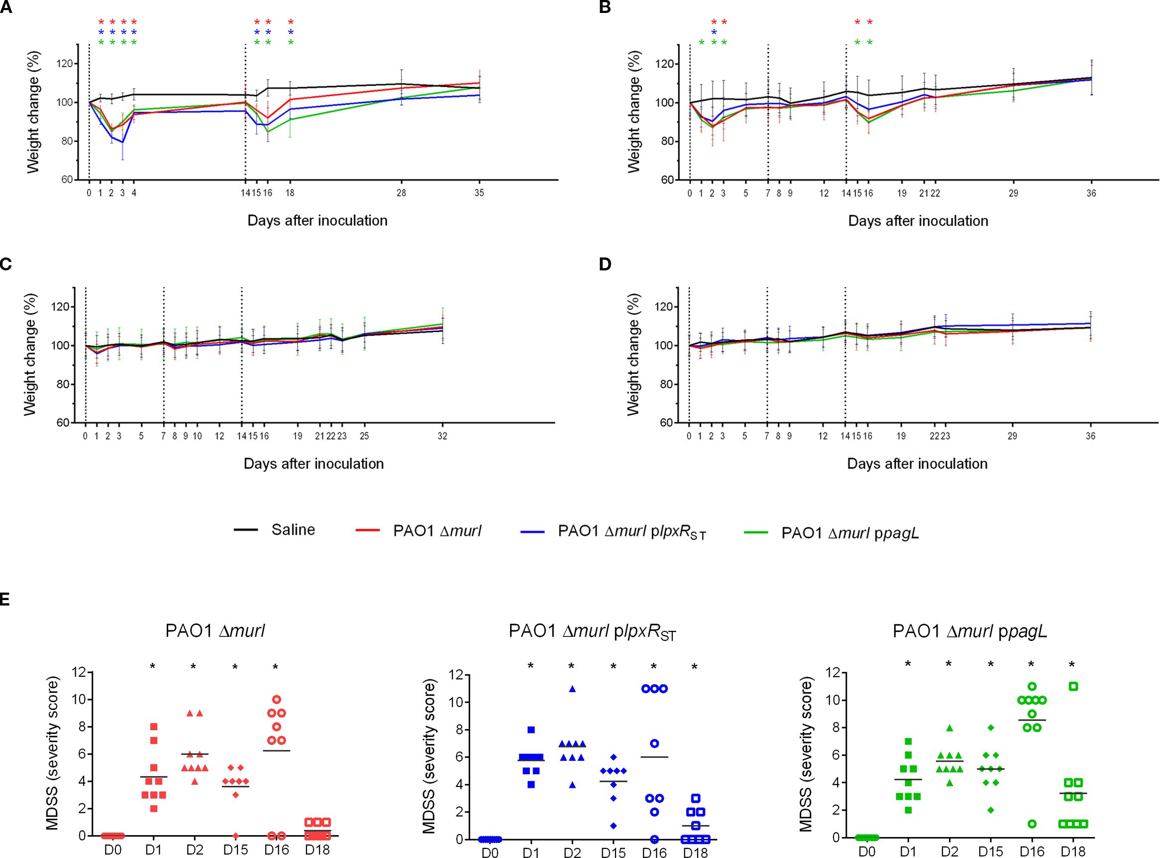 Graphs illustrating weight change and severity scores in mice after inoculation. Panels A to D show weight change percentages over time for different treatments: Saline, PAO1 Δmurl, PAO1 Δmurl plpxRST, and PAO1 Δmurl ppagL. Panel E presents MDSS severity scores for three groups over specific days post-inoculation, highlighting variations in severity.