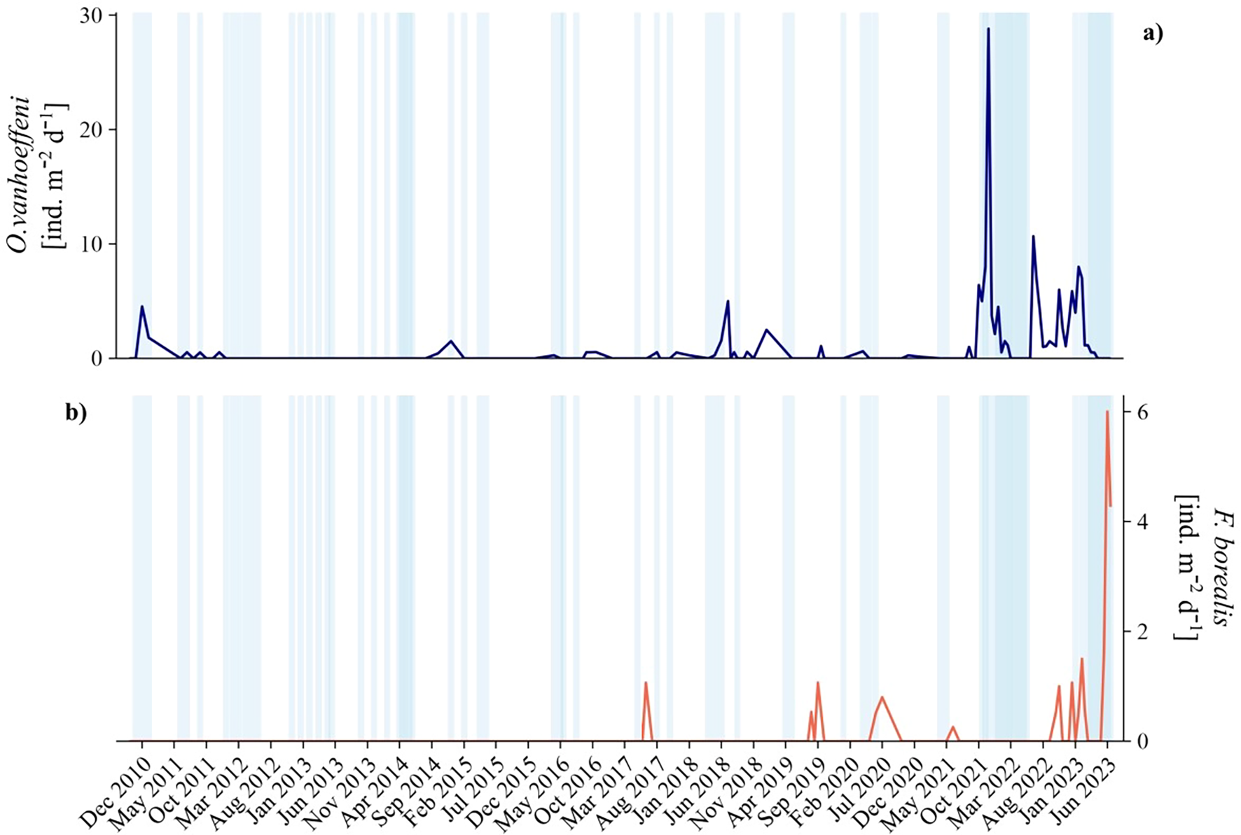Line graphs showing the population density of *O. vanhoeffeni* and *F. borealis* from December 2010 to June 2023. Panel a) displays fluctuations in *O. vanhoeffeni* with peaks around 2019. Panel b) shows *F. borealis* with notable increases from 2017 onwards. The x-axis depicts time intervals, and the y-axes indicate density in individuals per square meter per day, with lighter shaded bars in the background.